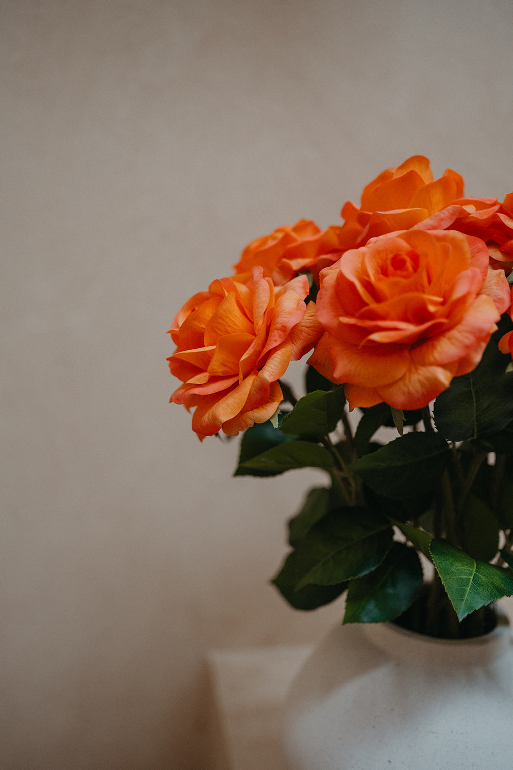 Real touch coral roses