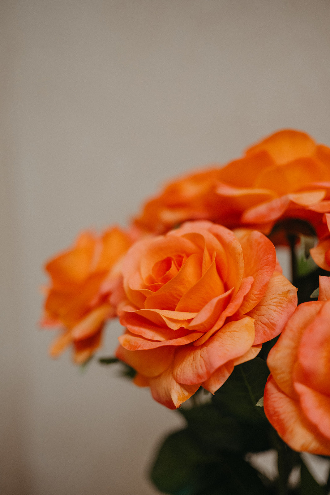 Real touch coral roses