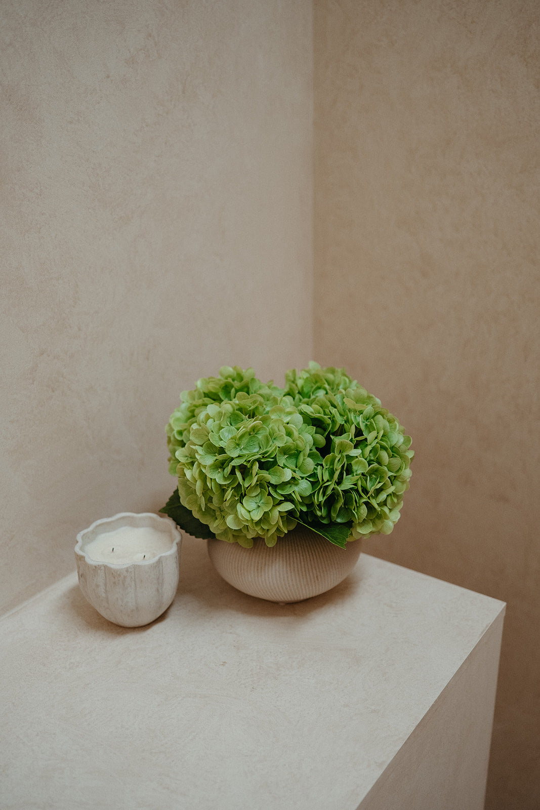 Real touch green hydrangeas