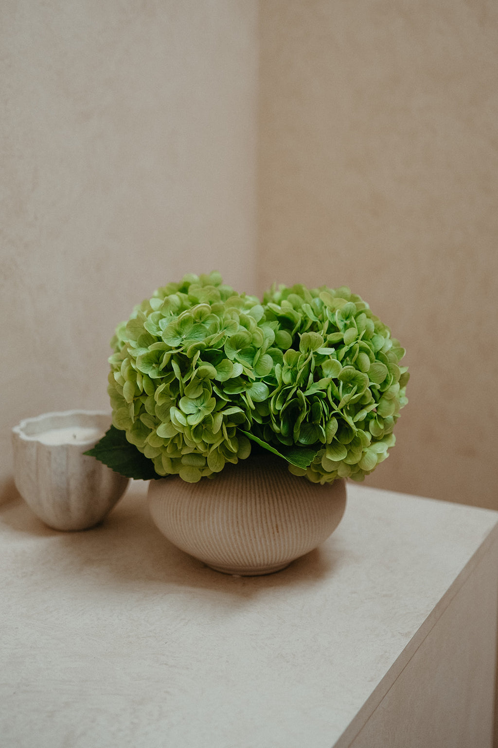 Real touch green hydrangeas