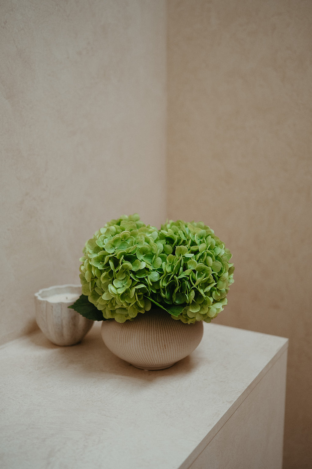 Real touch green hydrangeas